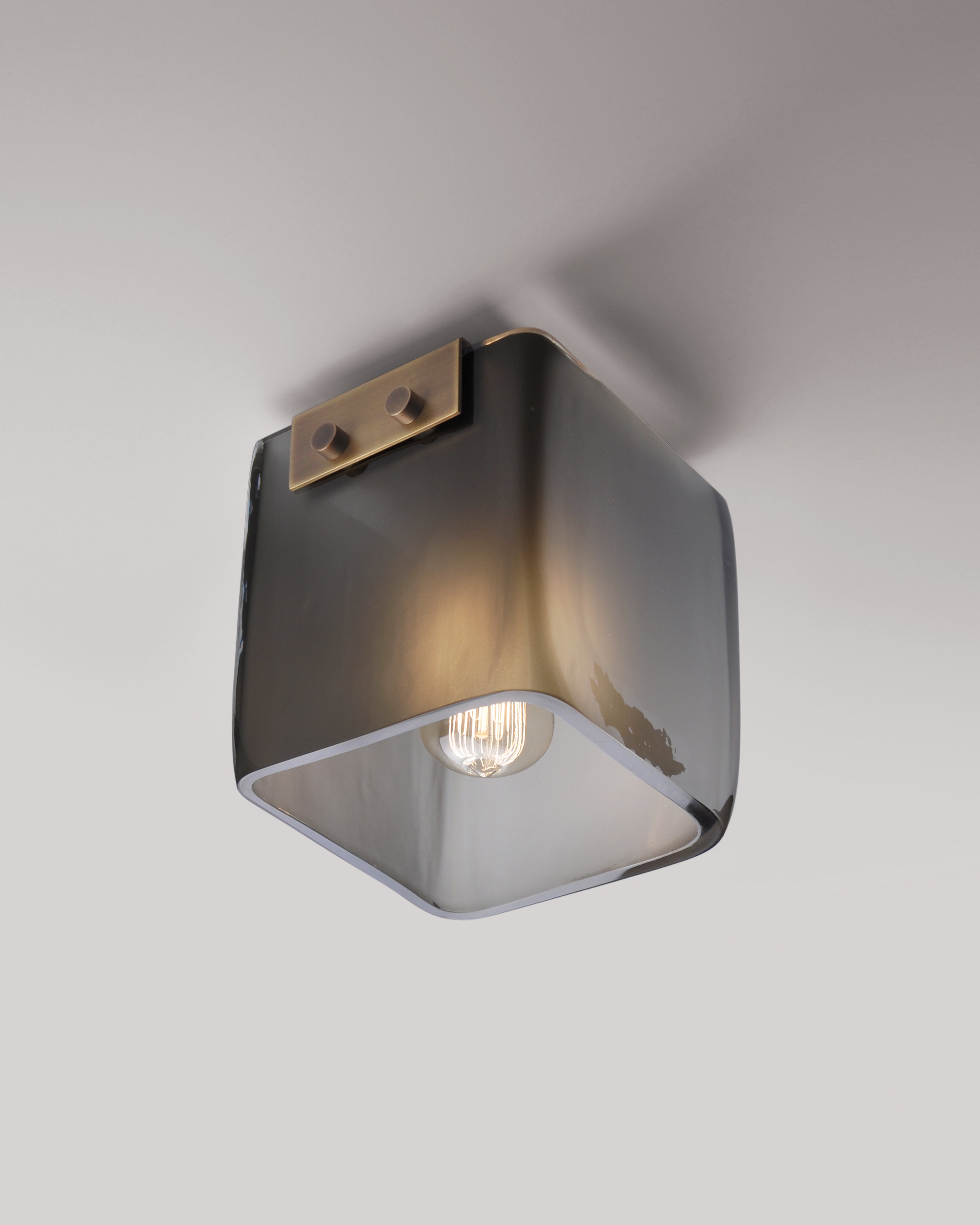 Light Antique Brass with Smoke Frosted