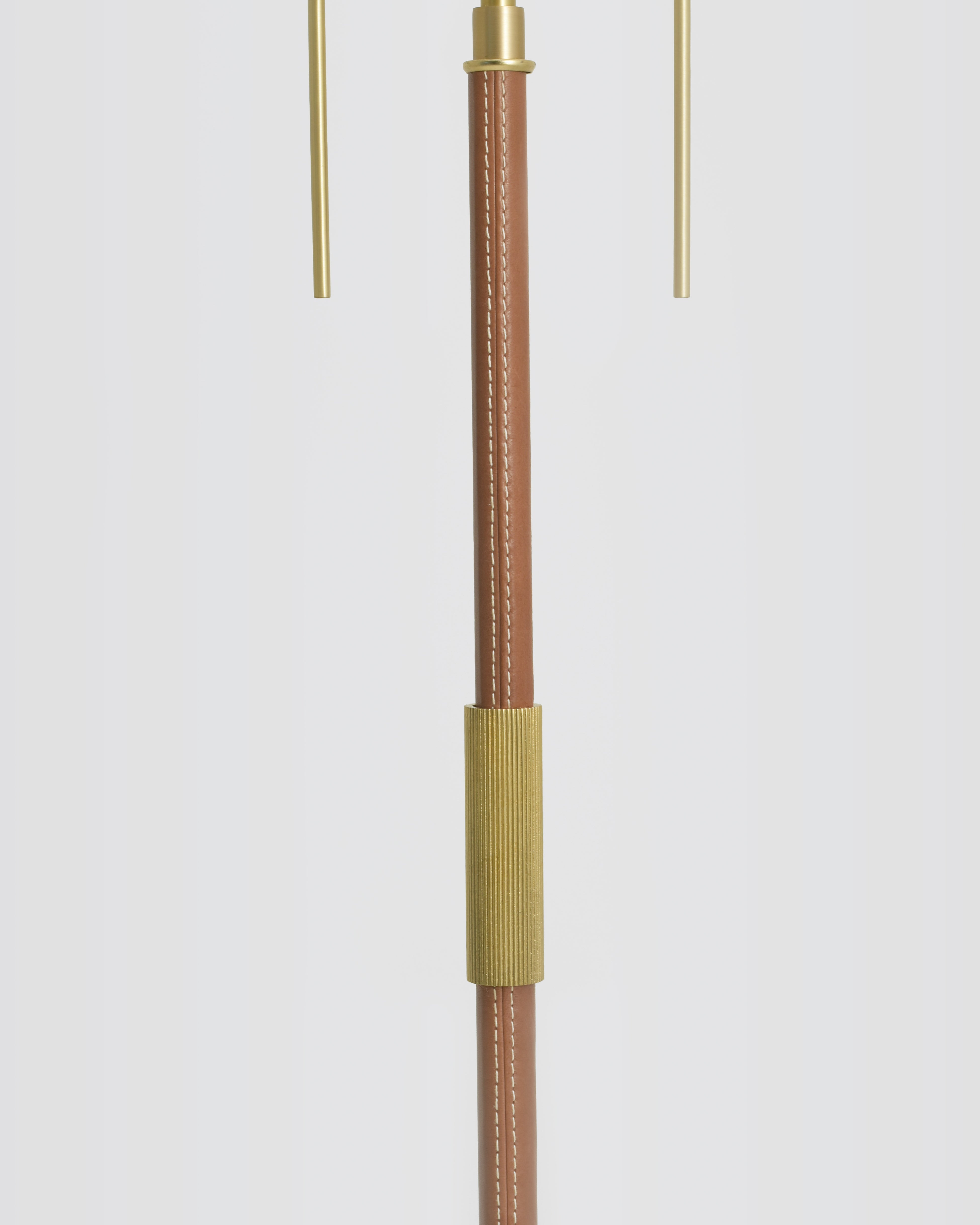 Brushed Brass and Brown Leather