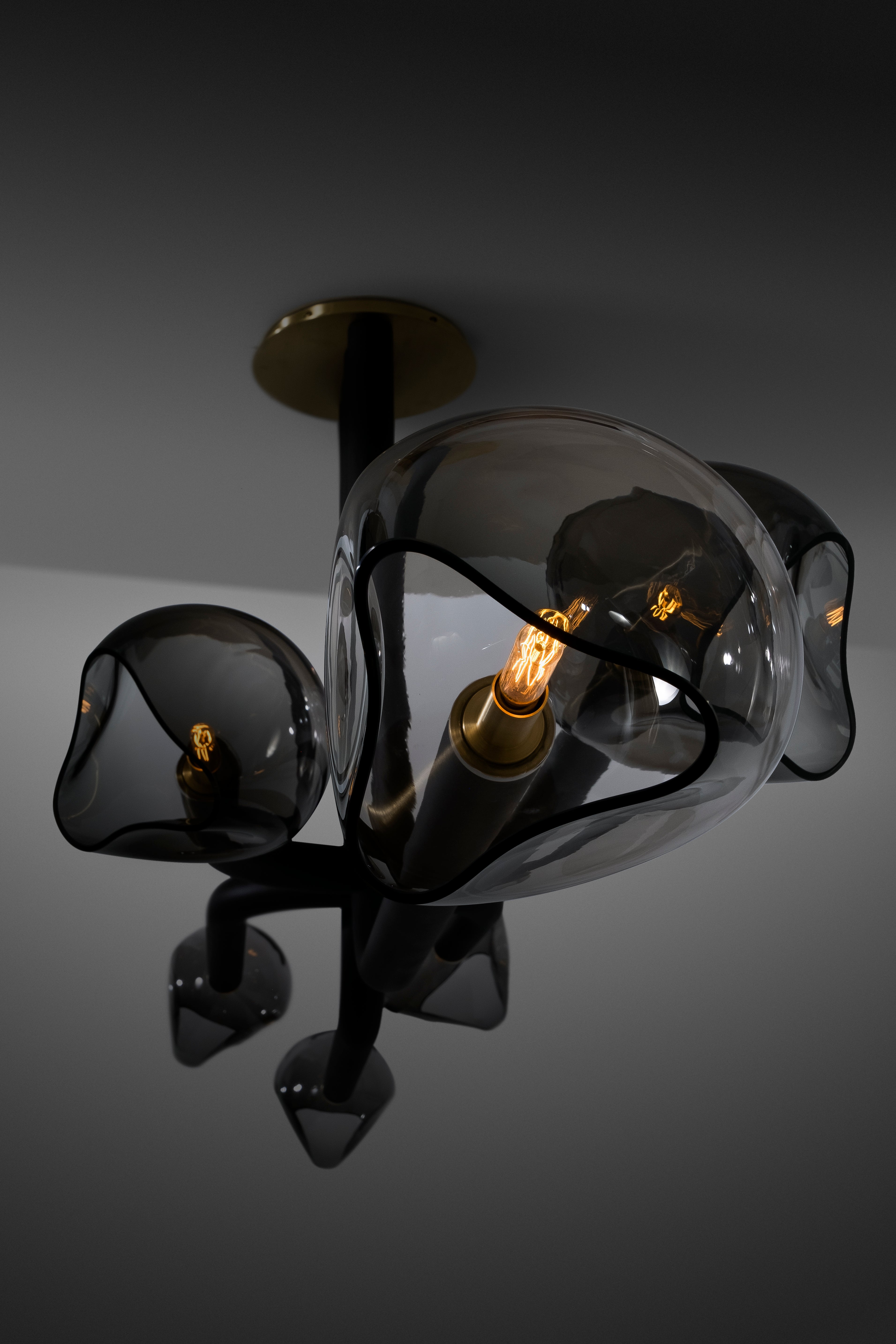 Detail image of the Carlo Six Light